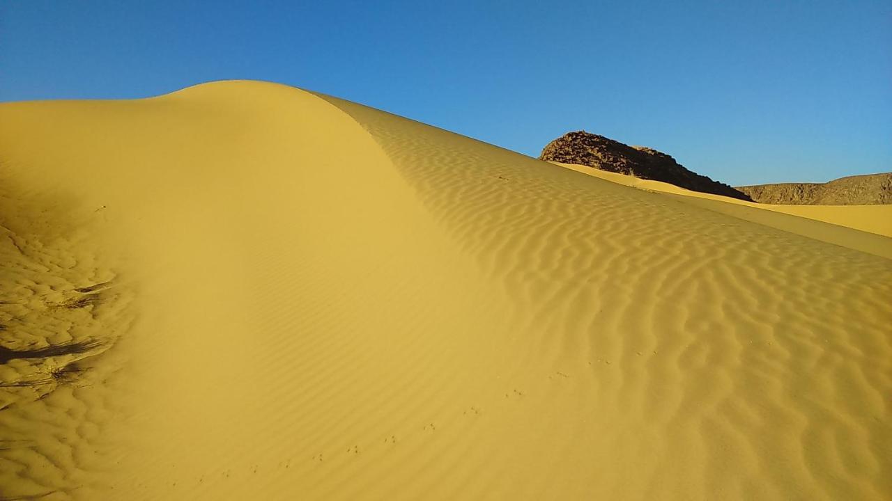 فندق Mozoon Camp وادي رم المظهر الخارجي الصورة